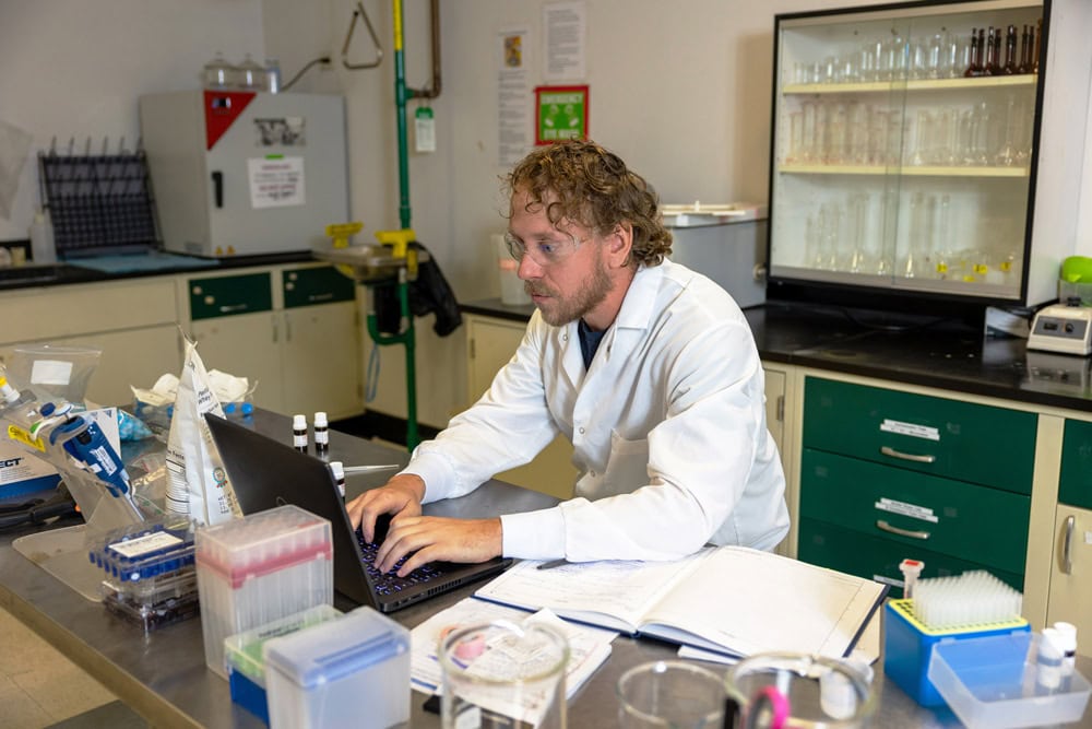 an ellipse analytics employee researching